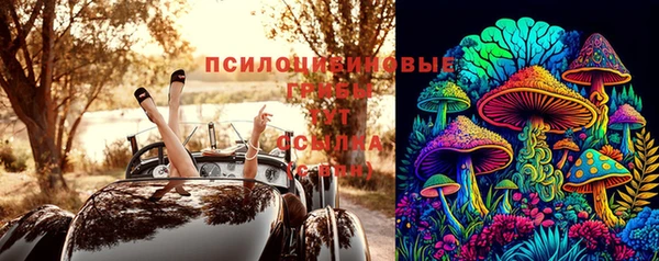 ECSTASY Аркадак